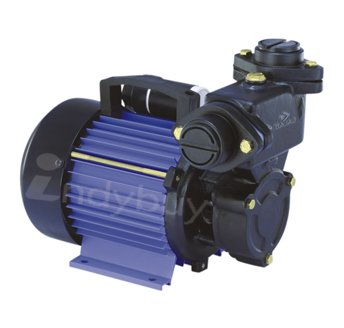 Bajaj Water Lifting Pump Self Priming Pump